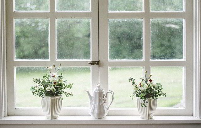 Flowers in window