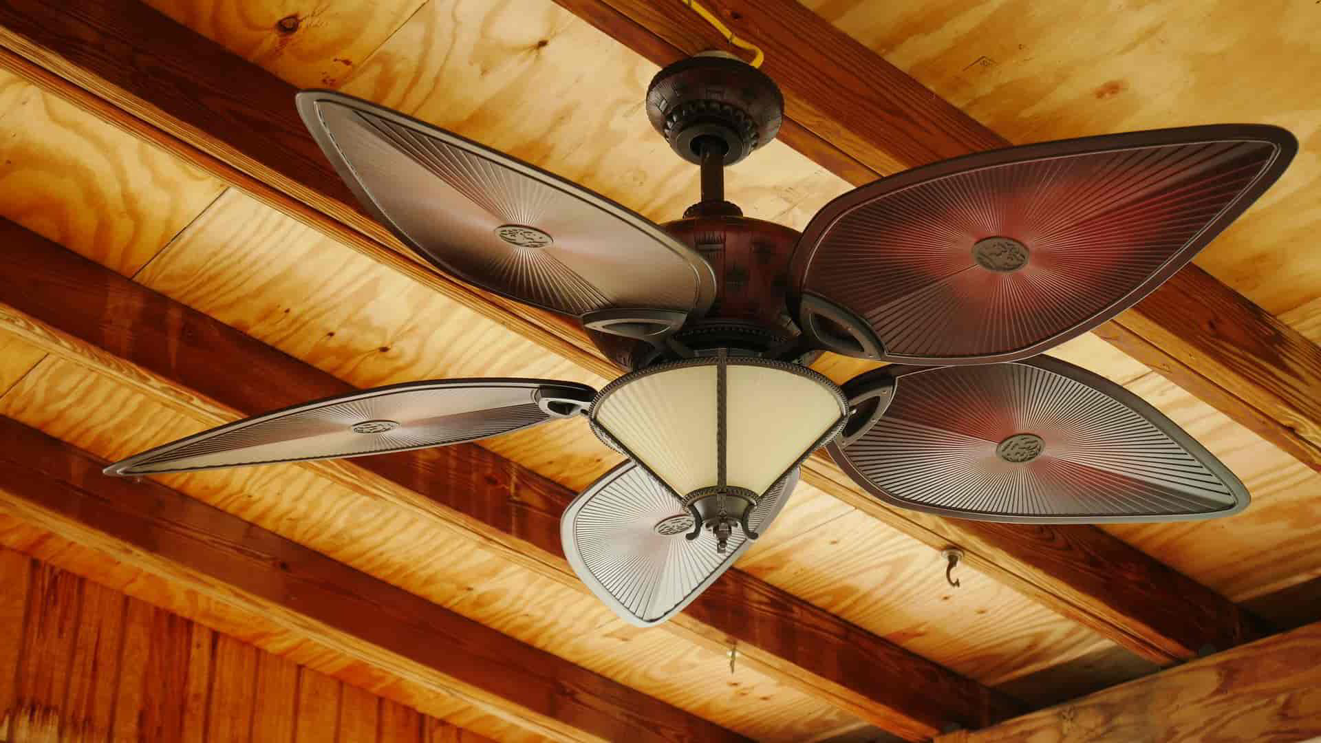 funky ceiling fan
