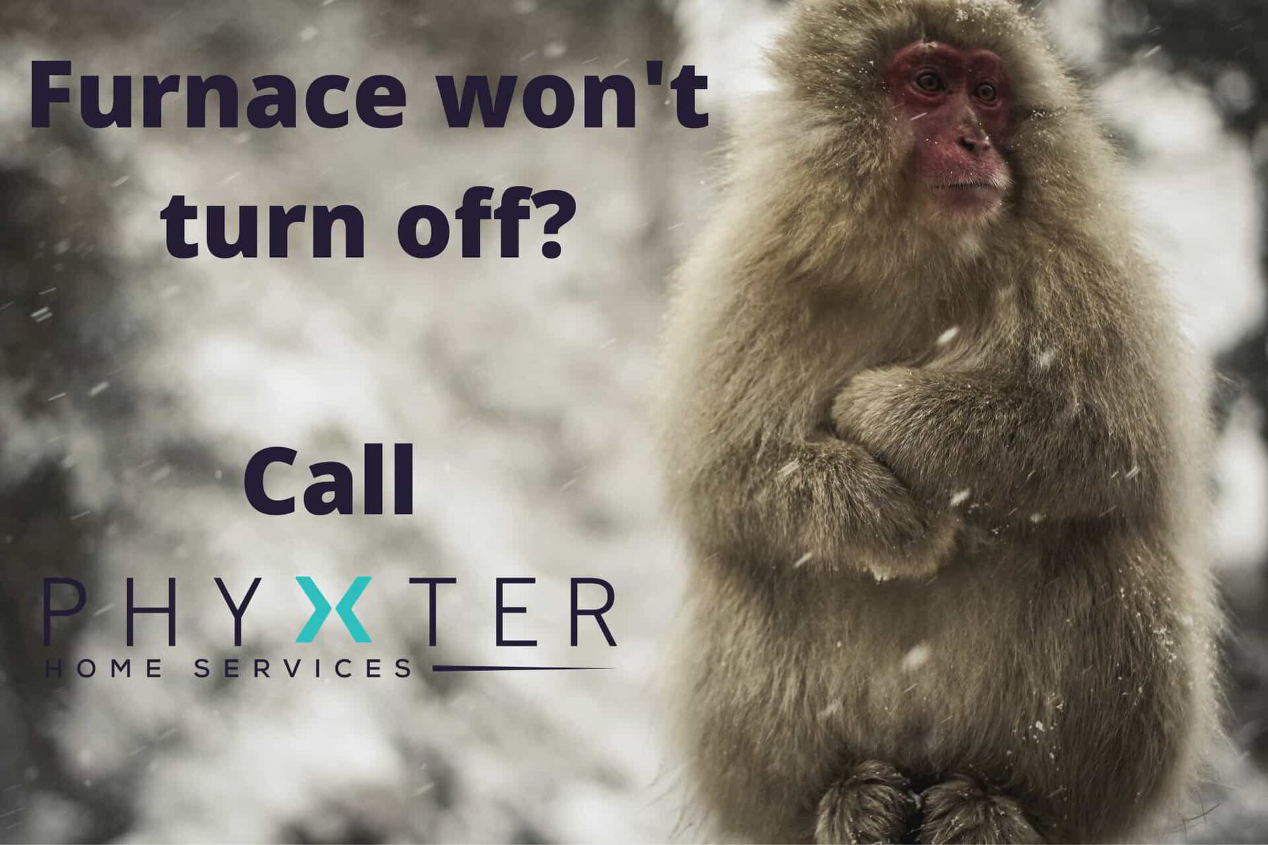 my-furnace-won-t-turn-off-what-now-2022-phyxter-home-services