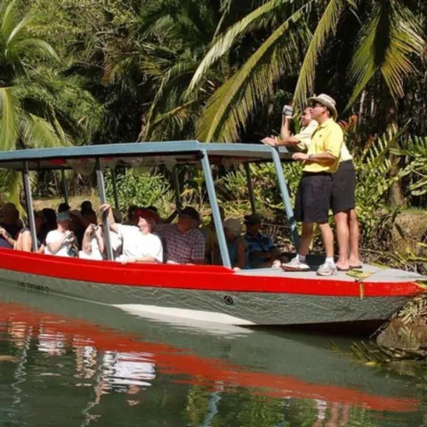 Paseo en barco por los manglares Isla Damas
