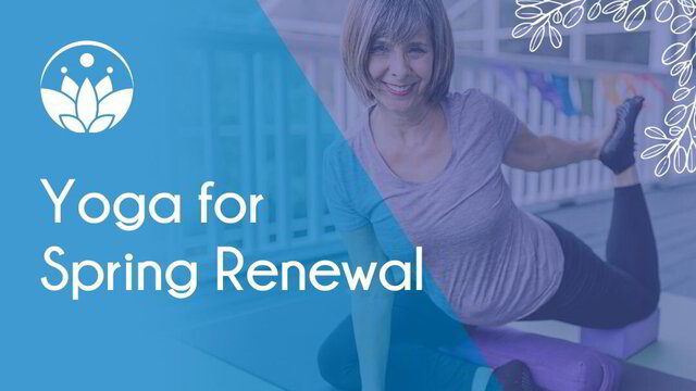 Individual Yoga Classes