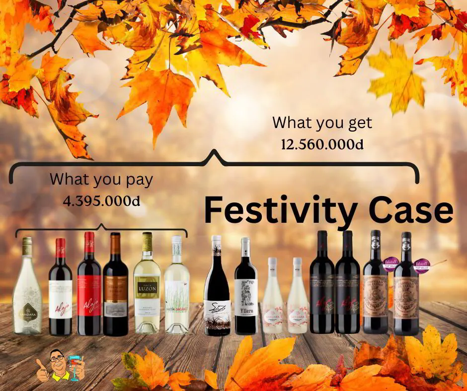 Festivity case