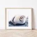 Seal - Giclee print of original watercolor portrait