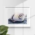 Seal - Giclee print of original watercolor portrait