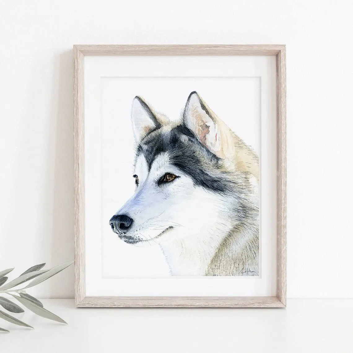 watercolor animal portrait of a siberian husky