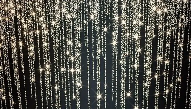 Photo Booth Backdrops | Xmas Backdrops | Flower Wall Backdrop | Slika ...