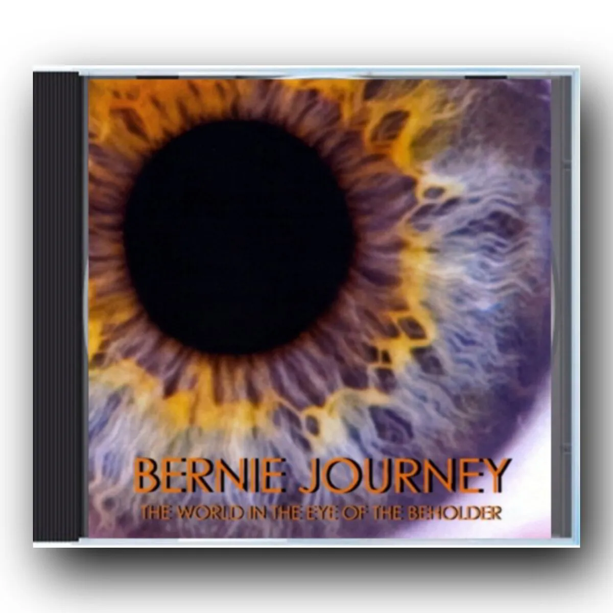 THE WORLD IN THE EYE OF THE BEHOLDER (CD)