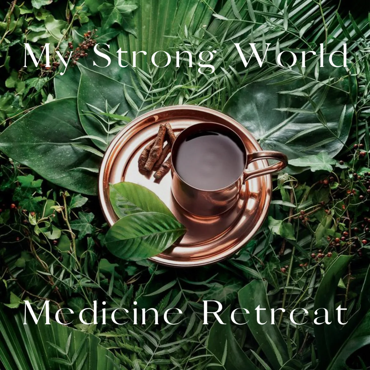 Medicine Retreat | May 2024 | Kate Strong