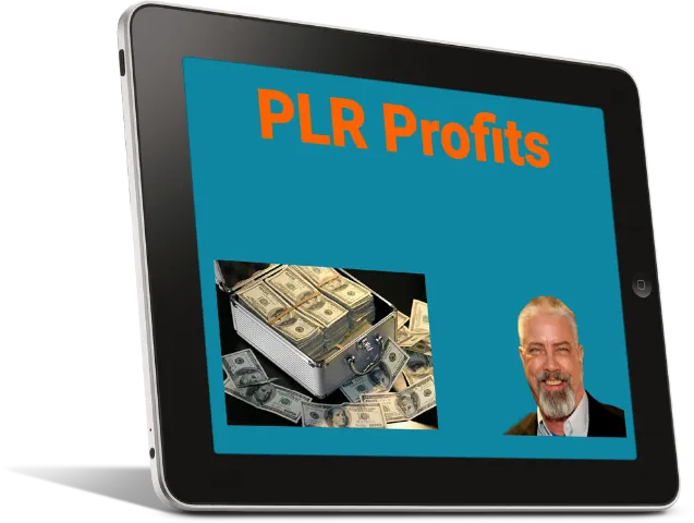 PLR Profits Introduction
