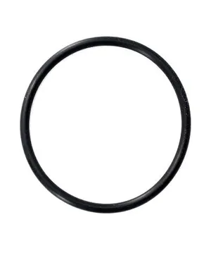 Astral / Hurlcon Diffuser O-Ring - Genuine Pump Part