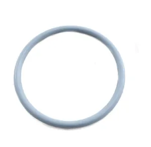 Astral / Hurlcon 50mm Union O-Ring - Genuine Part 70003