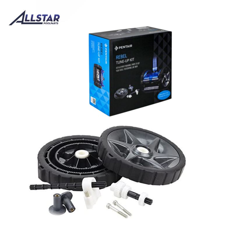 Pentair Rebel Factory Tune Up Kit 810942