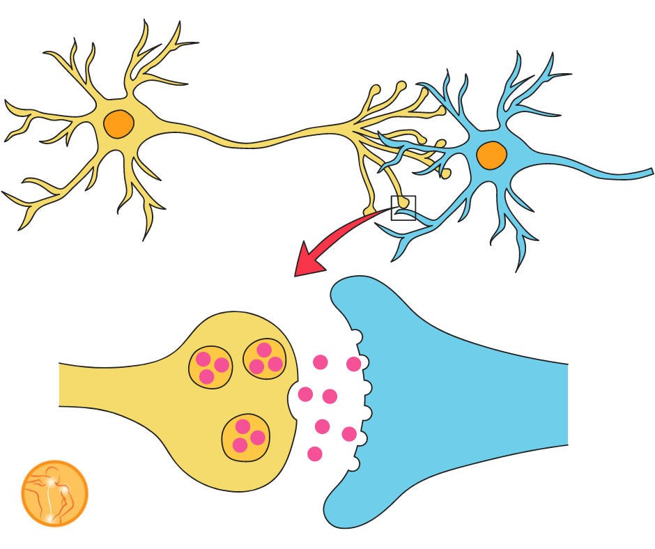 the-conscious-and-subconscious-mind-explained-youtube