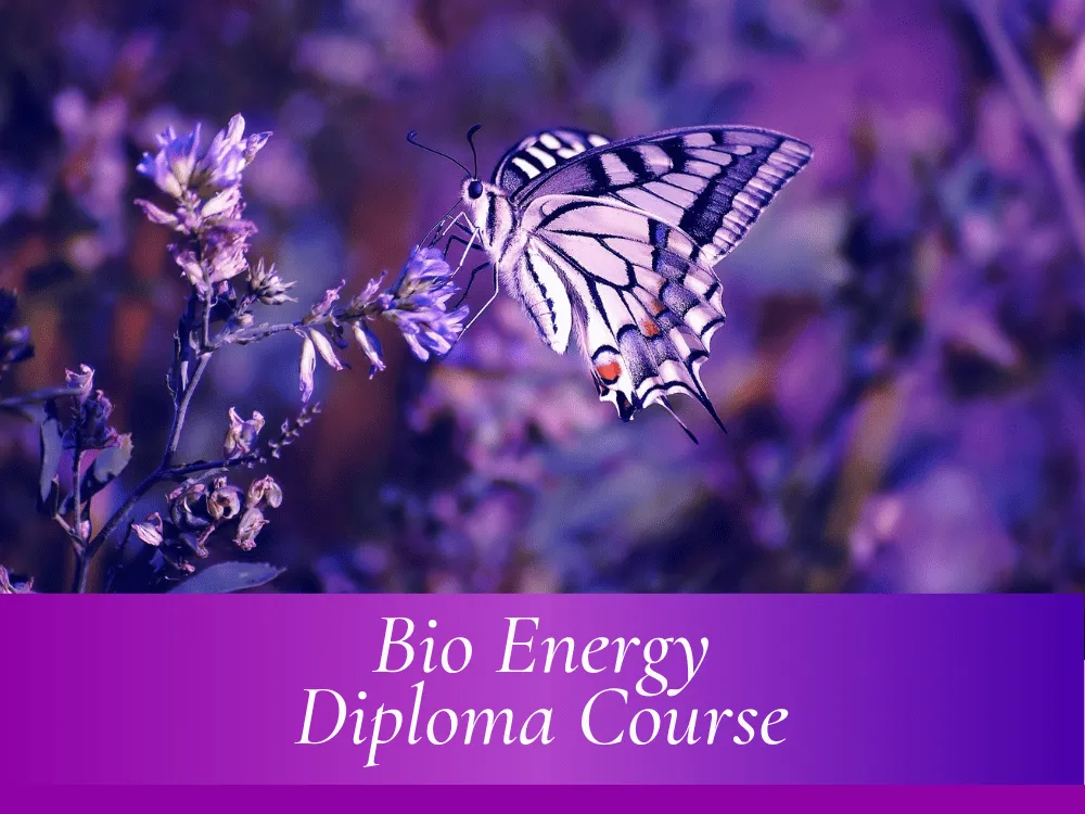 BioEnergy Level, 1, 2 & 3 Diploma