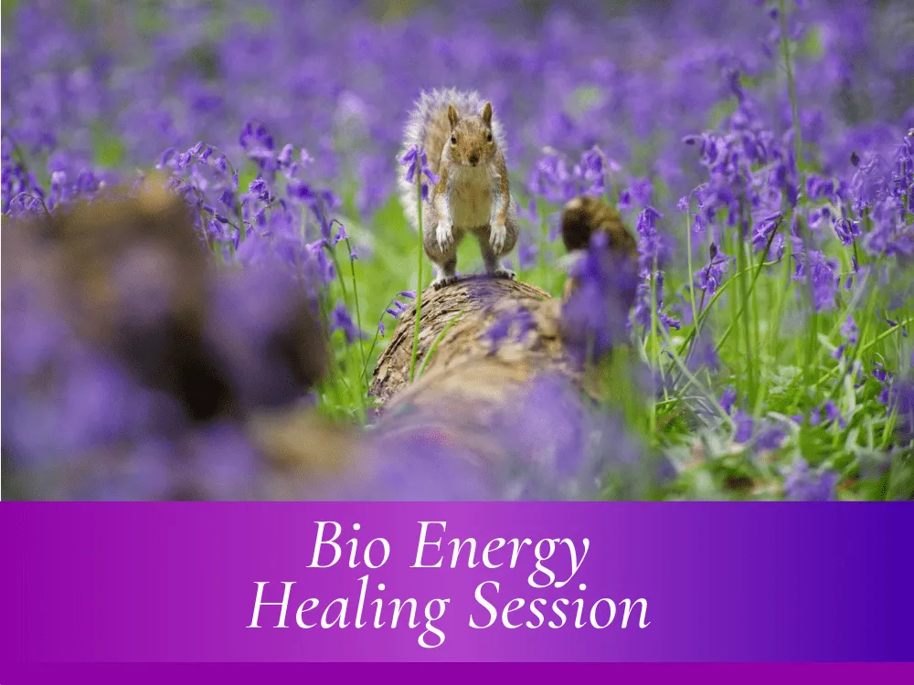 BioEnergy Healing Session