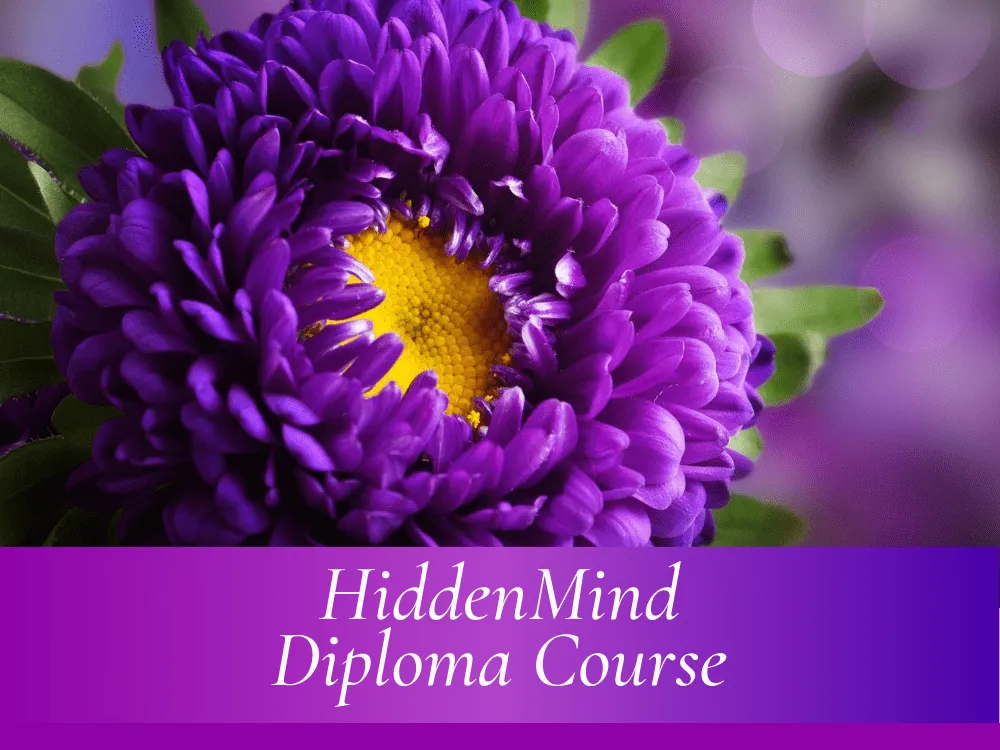 HiddenMind Level 1, 2 & 3 Diploma