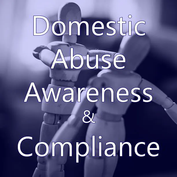 Domestic Abuse Awareness - single payment.