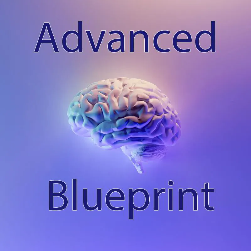 Advanced "The Blueprint" - 2 payments £64