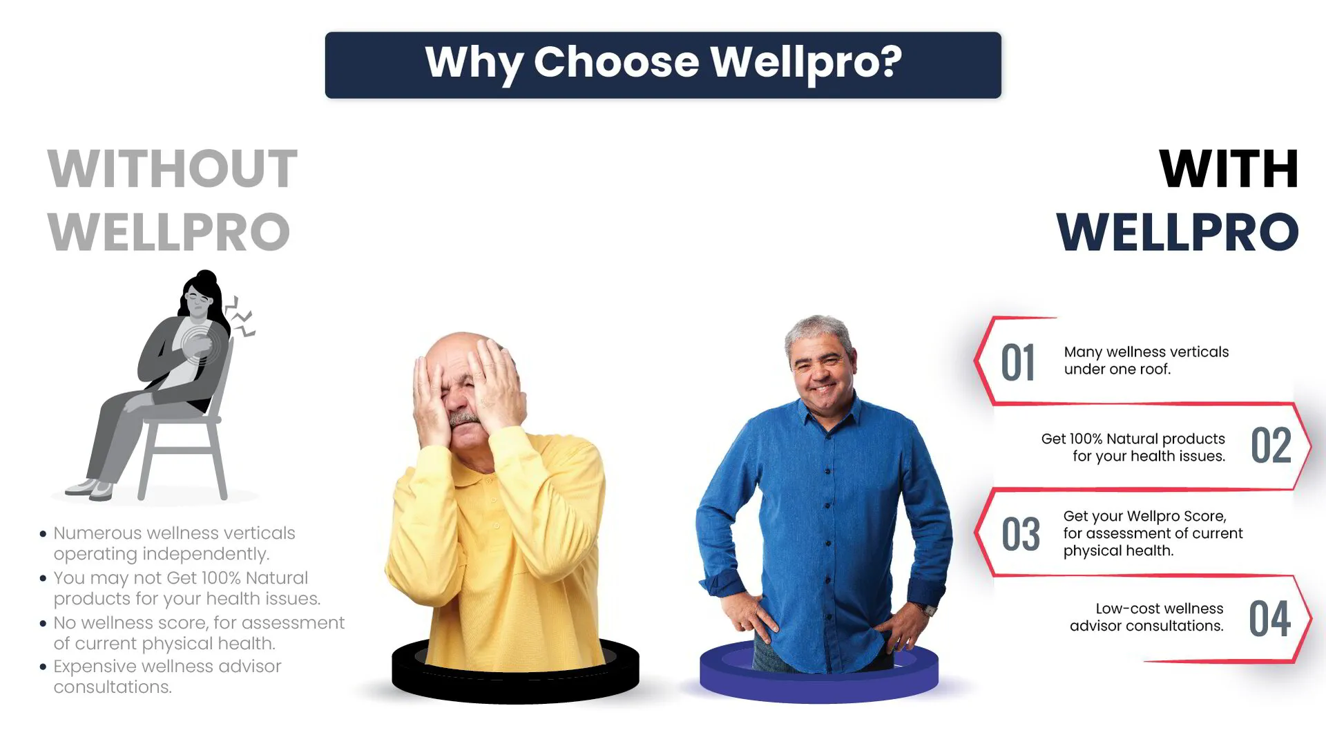 Wellpro Introducing A Herbal Supplement For Lowering Cholesterol | Wellpro