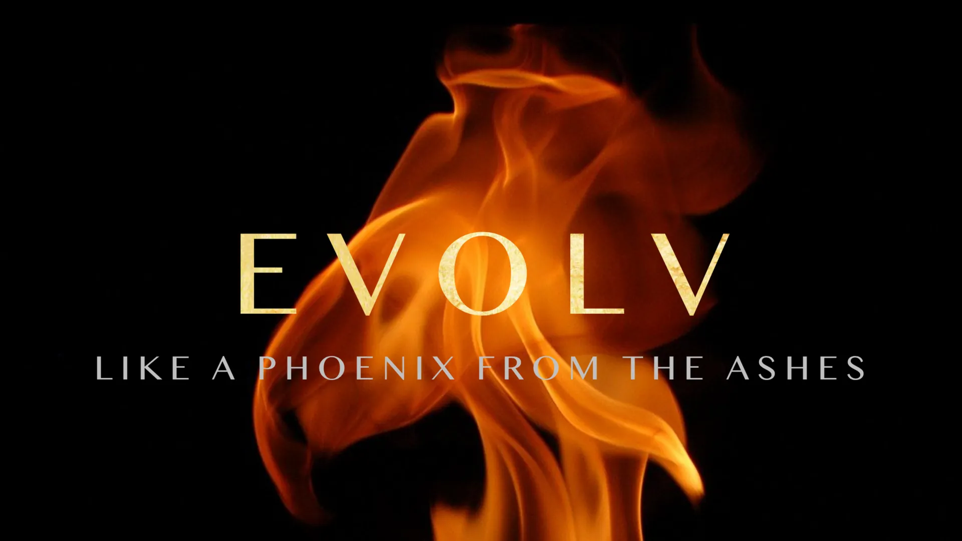 Evolv: Like A Phoenix
