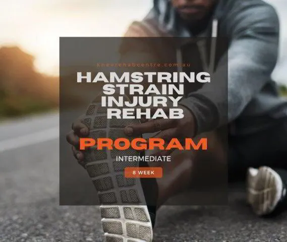 Rehab programs online | Free and paid programs