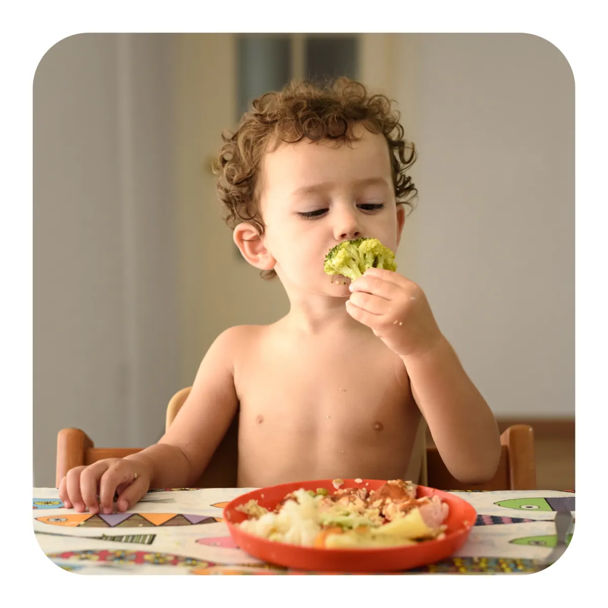 🌈 UNA FIESTA DE SABORES EN MINIATURA