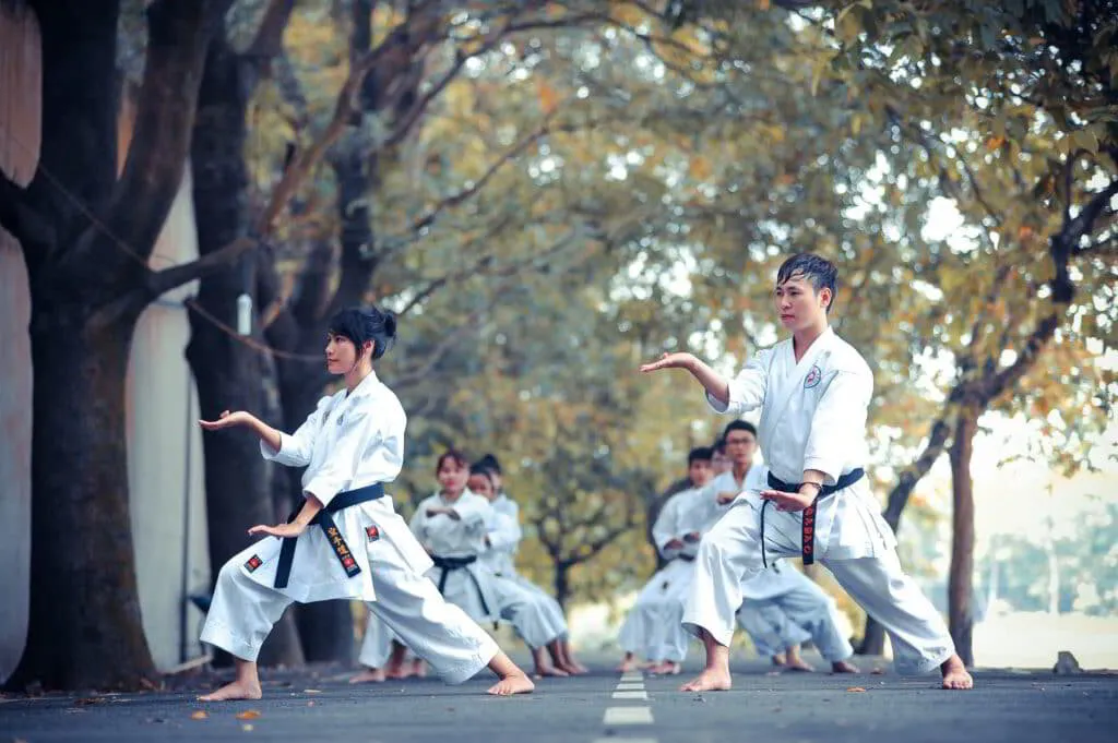 Health benefits of martial arts