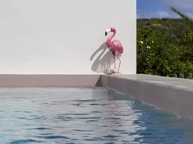 Bona BistaB6 Pink Pool