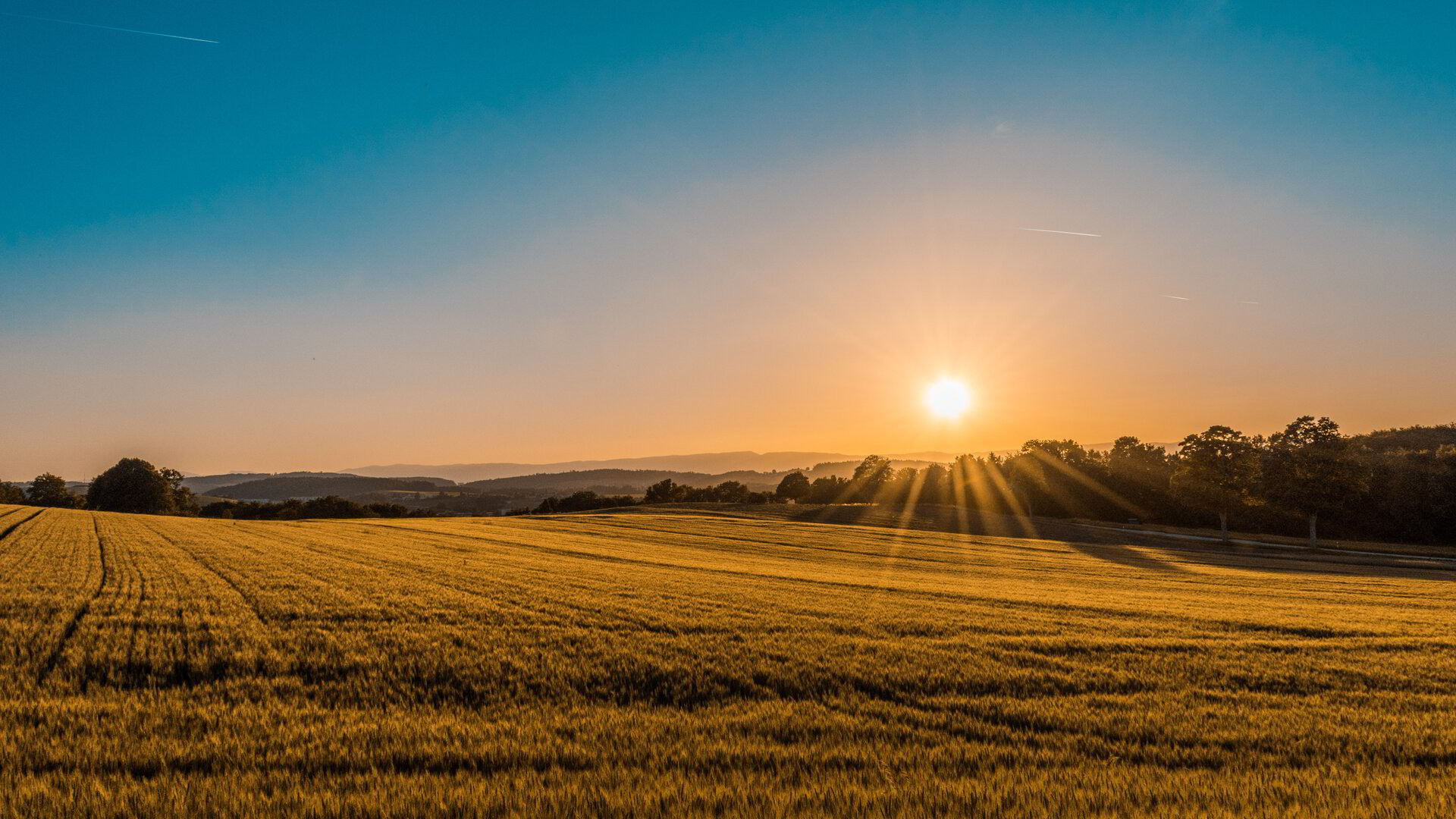 Favourable conditions continue to bolster demand for rural property
