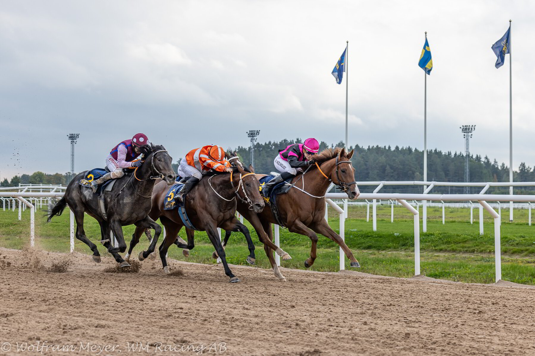 Vinnare nr 8 - Daybreaker