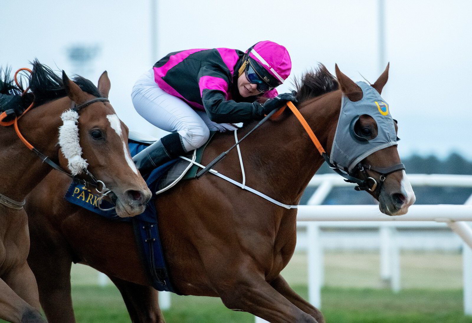 Vinnare nr 12 - Daybreaker