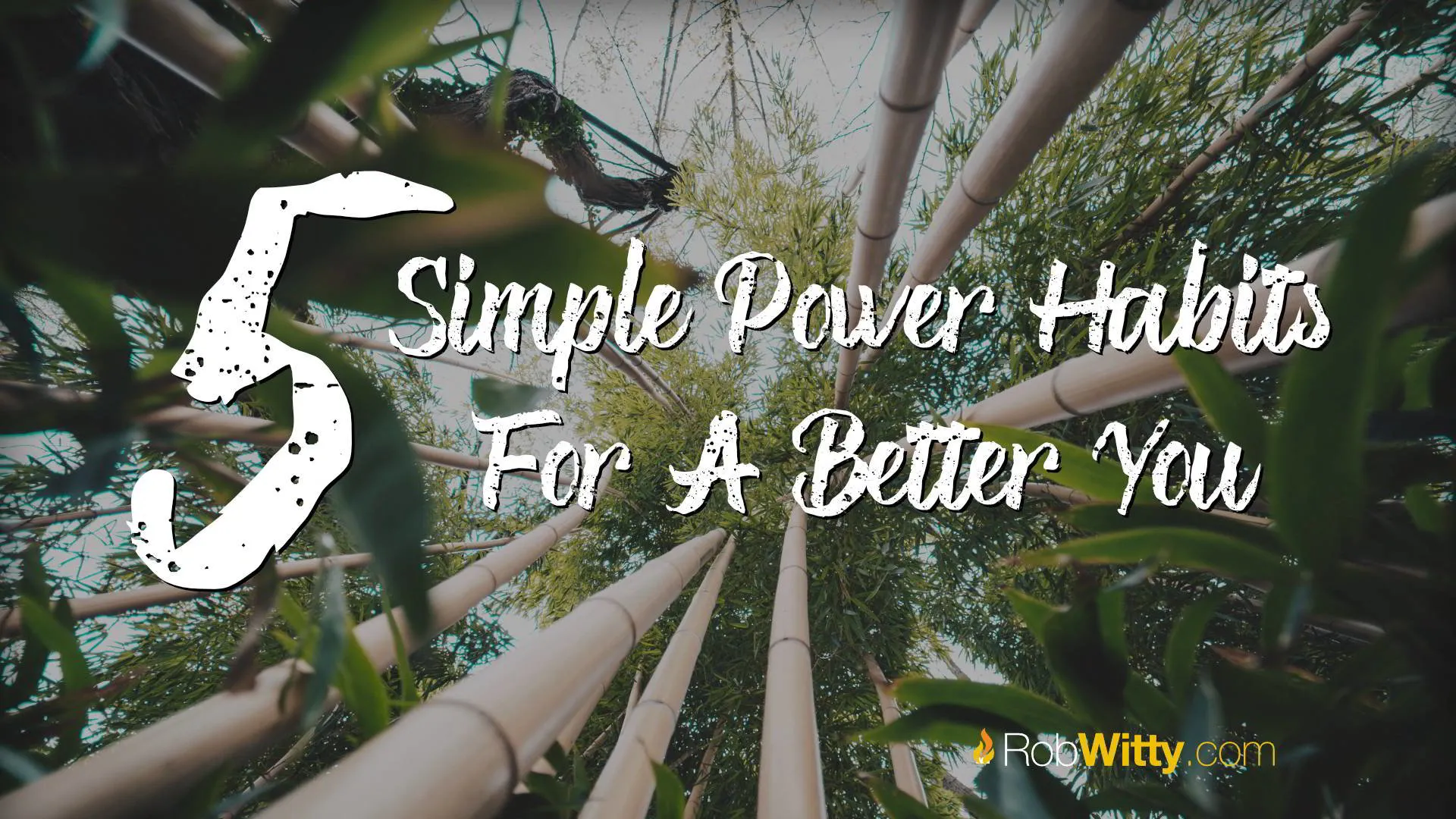 5 Simple Power Habits For A Better You