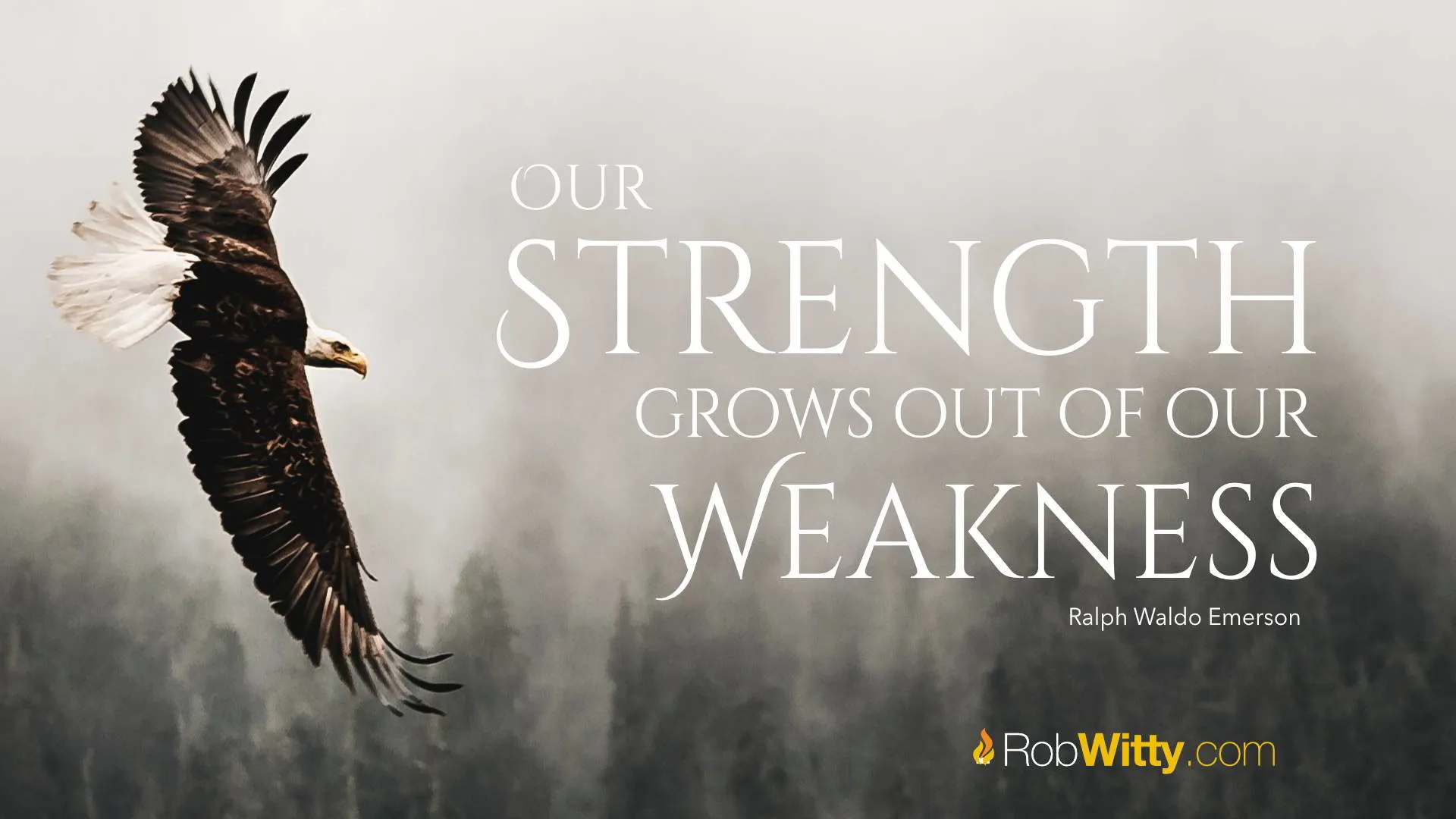 Strengths Start Out as Weaknesses