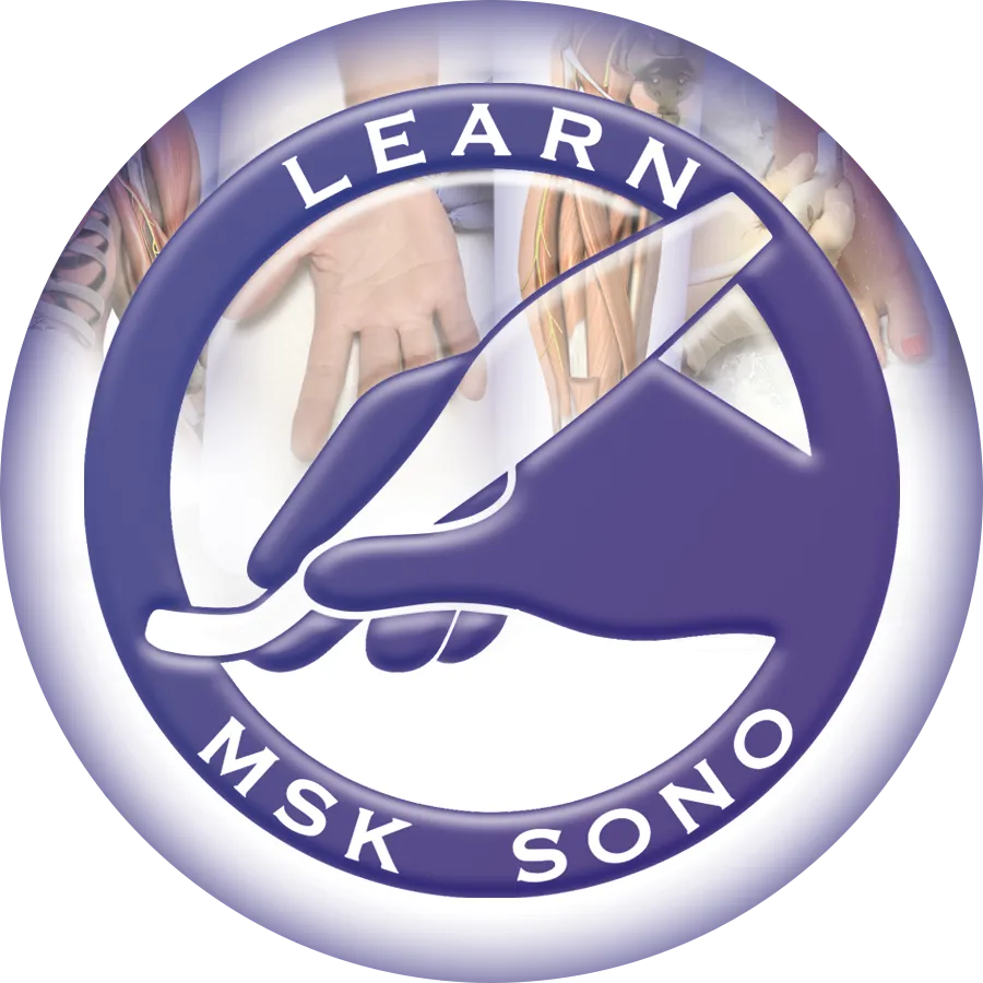 Learn MSK Sono