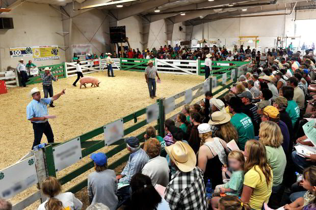 facility-rentals-lewis-clark-county-fairgrounds-event-venue