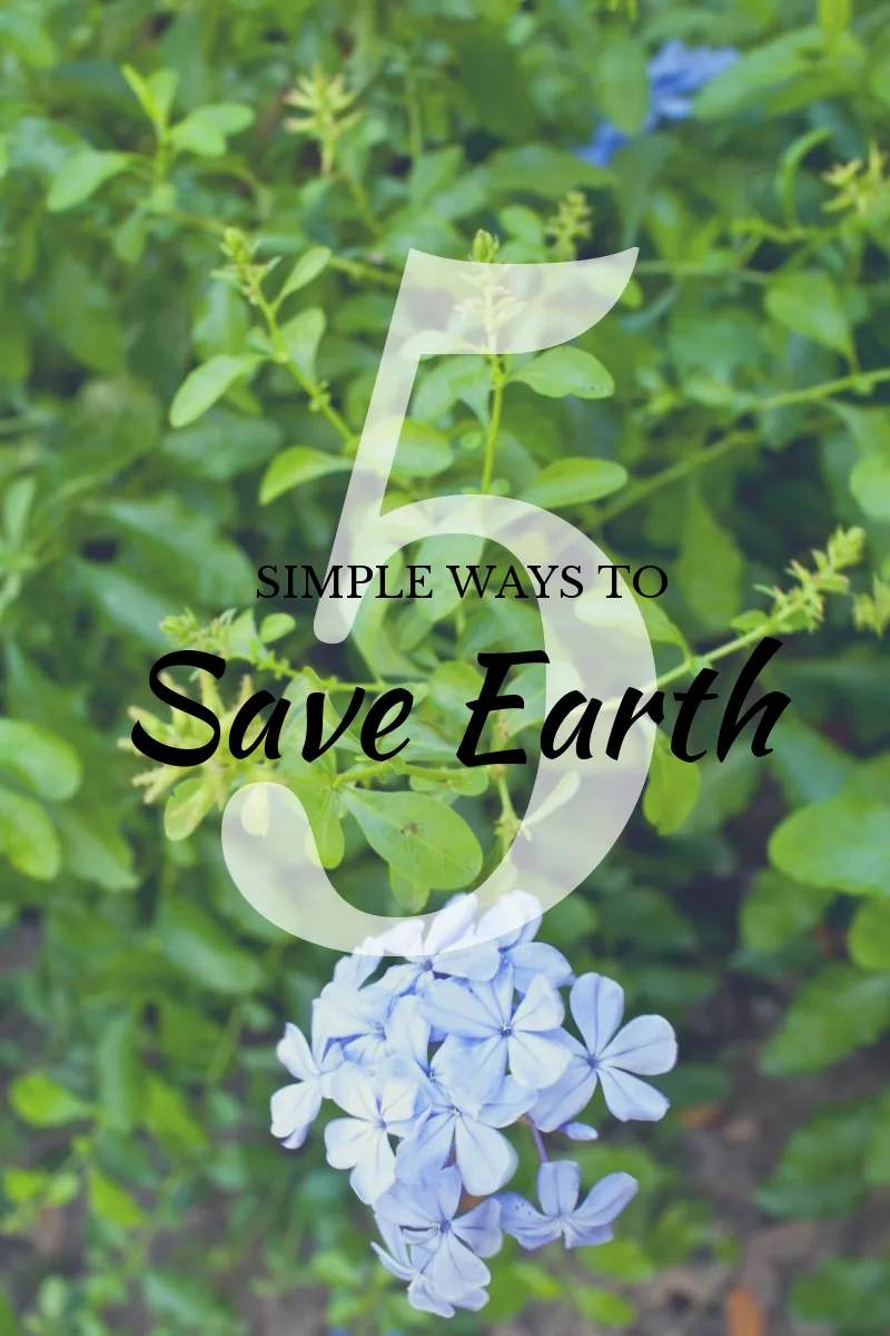 5 Simple Ways You Can Help Save Earth (Without The Inconvenience)