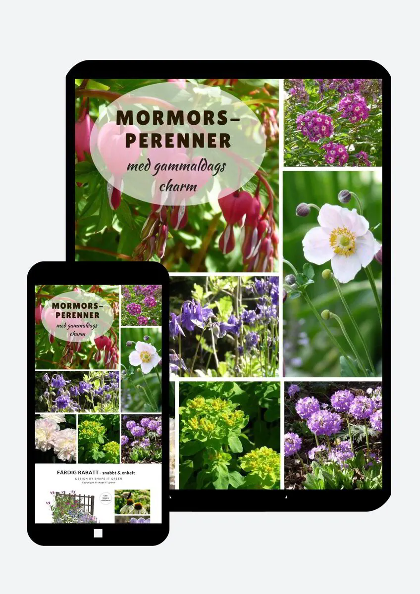 Färdig Rabatt: design och växtförslag till din rabatt