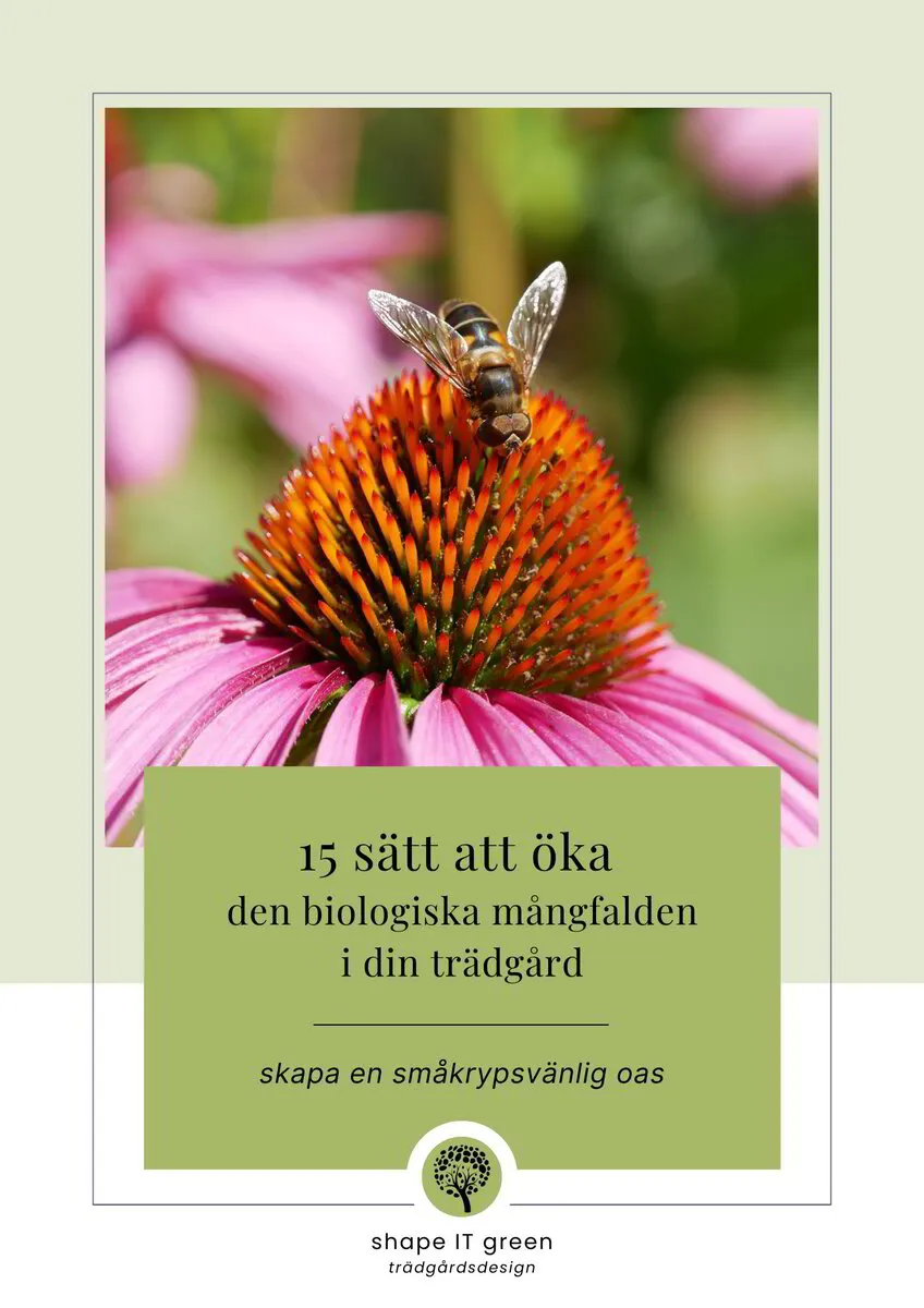 Gratis guide: Ekovänlig trädgård för ökad biologisk mångfald