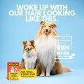 PRE-ORDER FURLICKS SKIN & COAT ORAL STRIPS