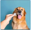 PREORDER NOW - FURLICKS CALMING ORAL STRIPS