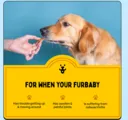 PREORDER NOW - FURLICKS HIP & JOINT ORAL STRIPS