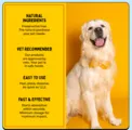 PRE-ORDER FURLICKS SKIN & COAT ORAL STRIPS