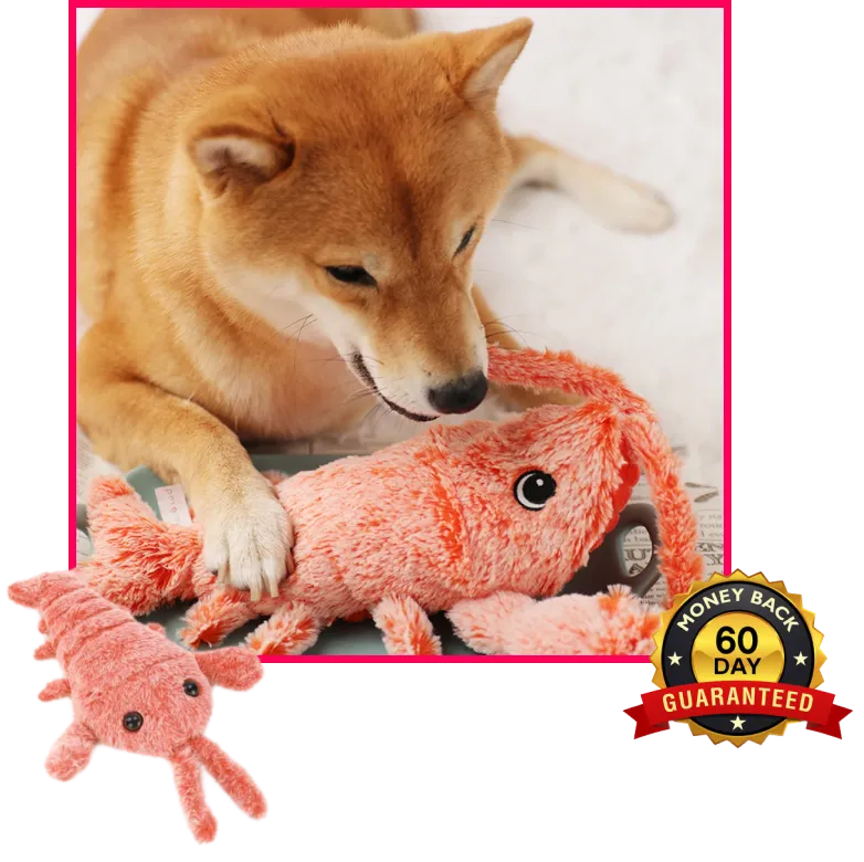 ClawPlay Lobster Toy