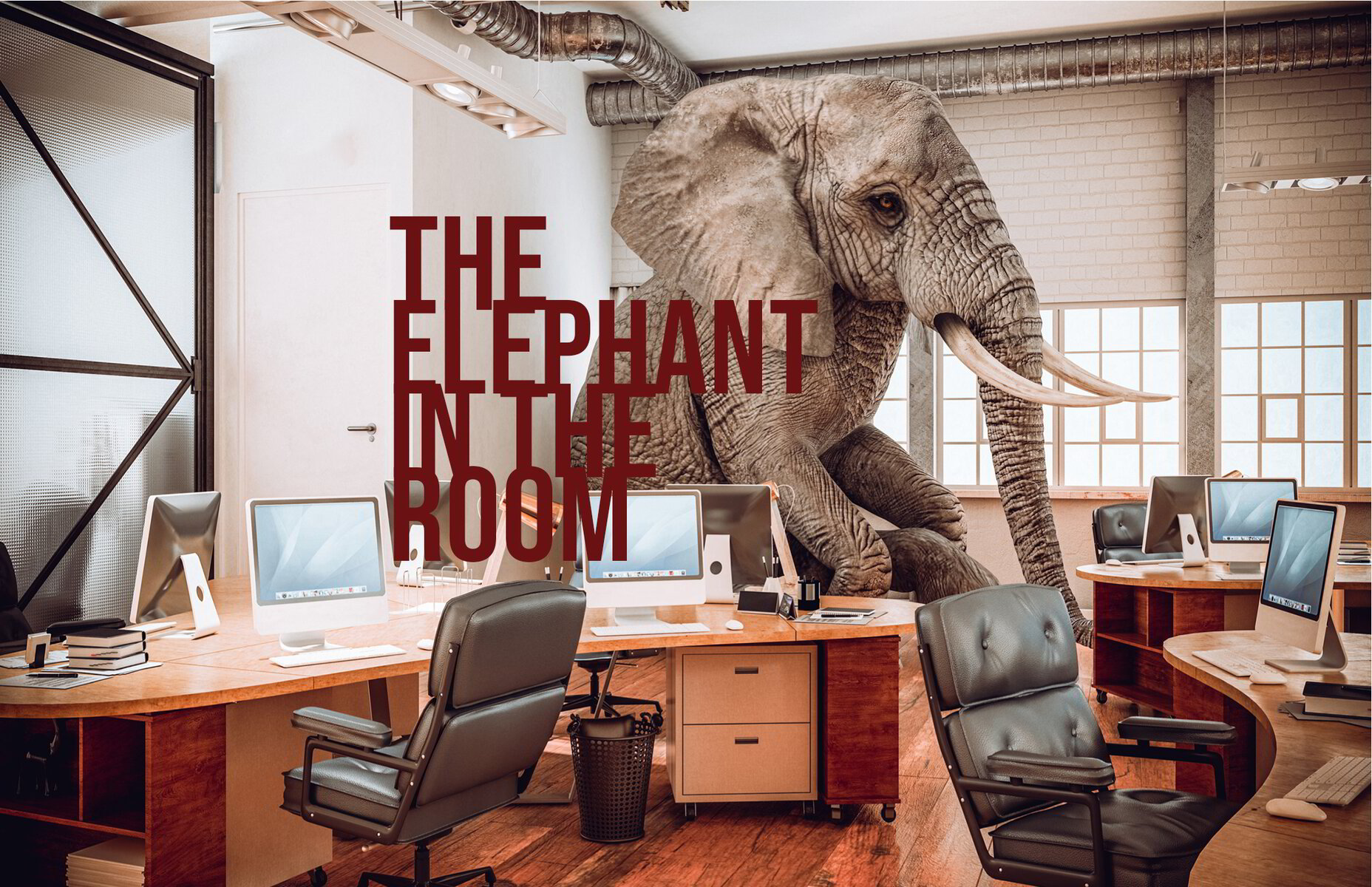 The Elephant in the Room