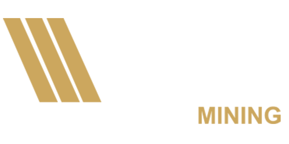 VTN Mining