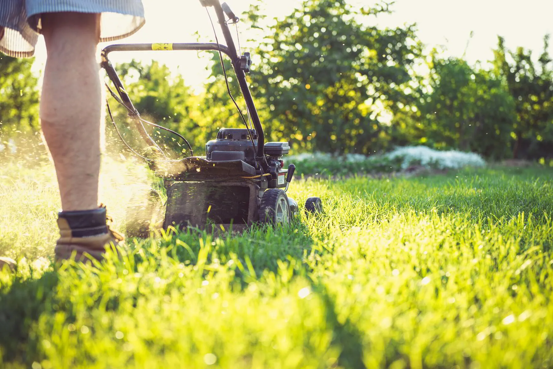 The Ultimate Guide to Lawn Mowing