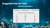 Potent-Sea Omega-3 | EPA & DHA 
