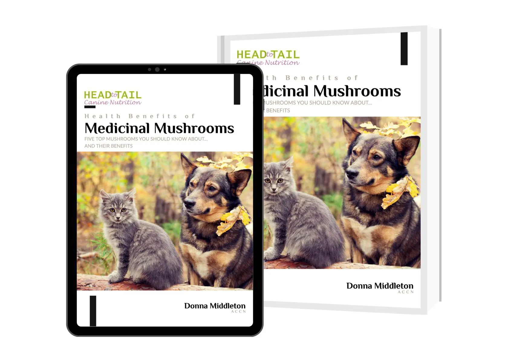 E-Book - FREE WITH ANY PURCHASE OF OUR MUSHROOM BLENDS  Health Benefits of Medicinal Mushrooms