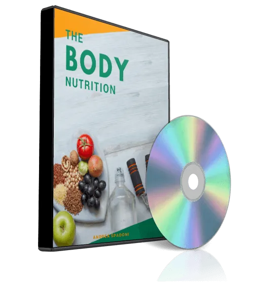 The body nutrition