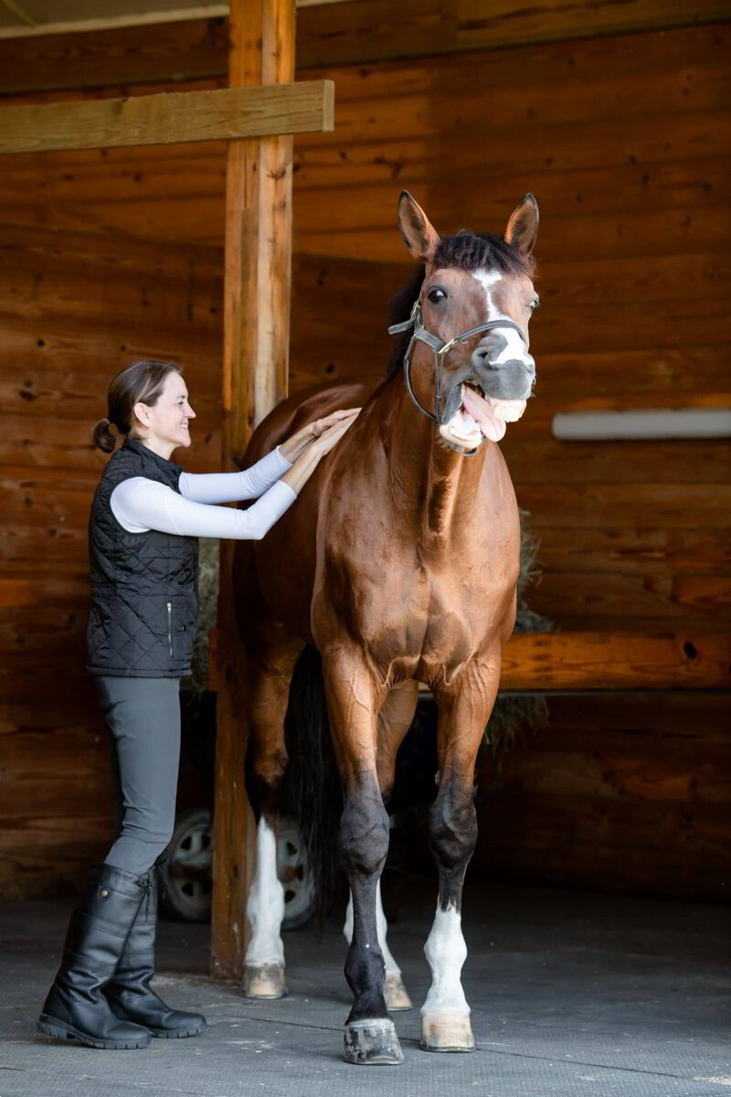 Connecticut River Equine Massage Equine Myofascial Release and Massage